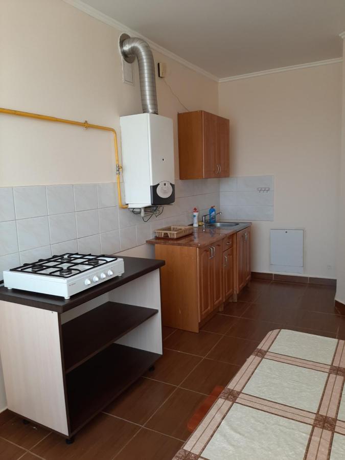 Apartment On Lermontova 35A Mukacheve Bagian luar foto